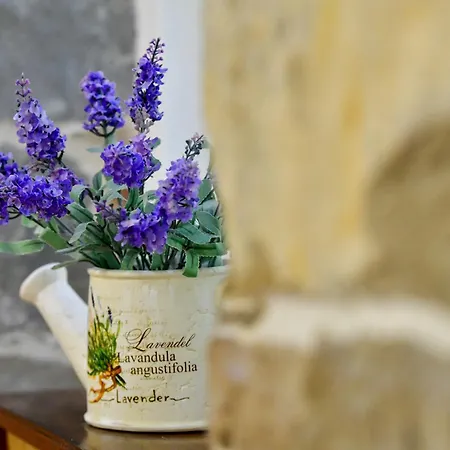 Casa Matosica Apartamento Split